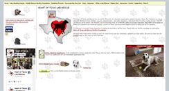 Desktop Screenshot of hotlabrescue.org